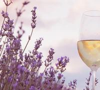 Классификация виноградных вин Секреты приготовления девясилового вина